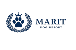 chatgpt image 19. feb. 2026, 10 41 30